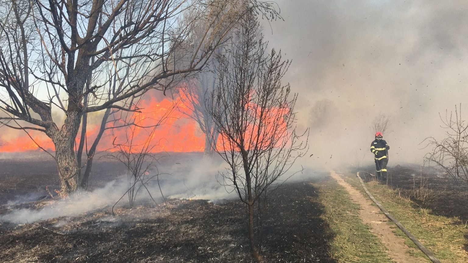 Incendii vegetație. Sursa foto: ISU B-IF