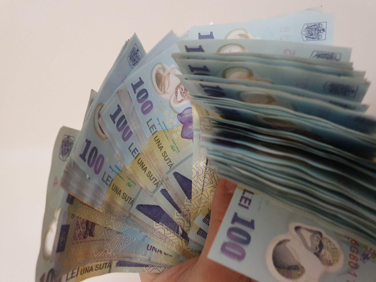 Bancnote de 100 de lei Sursa foto: Pixabay