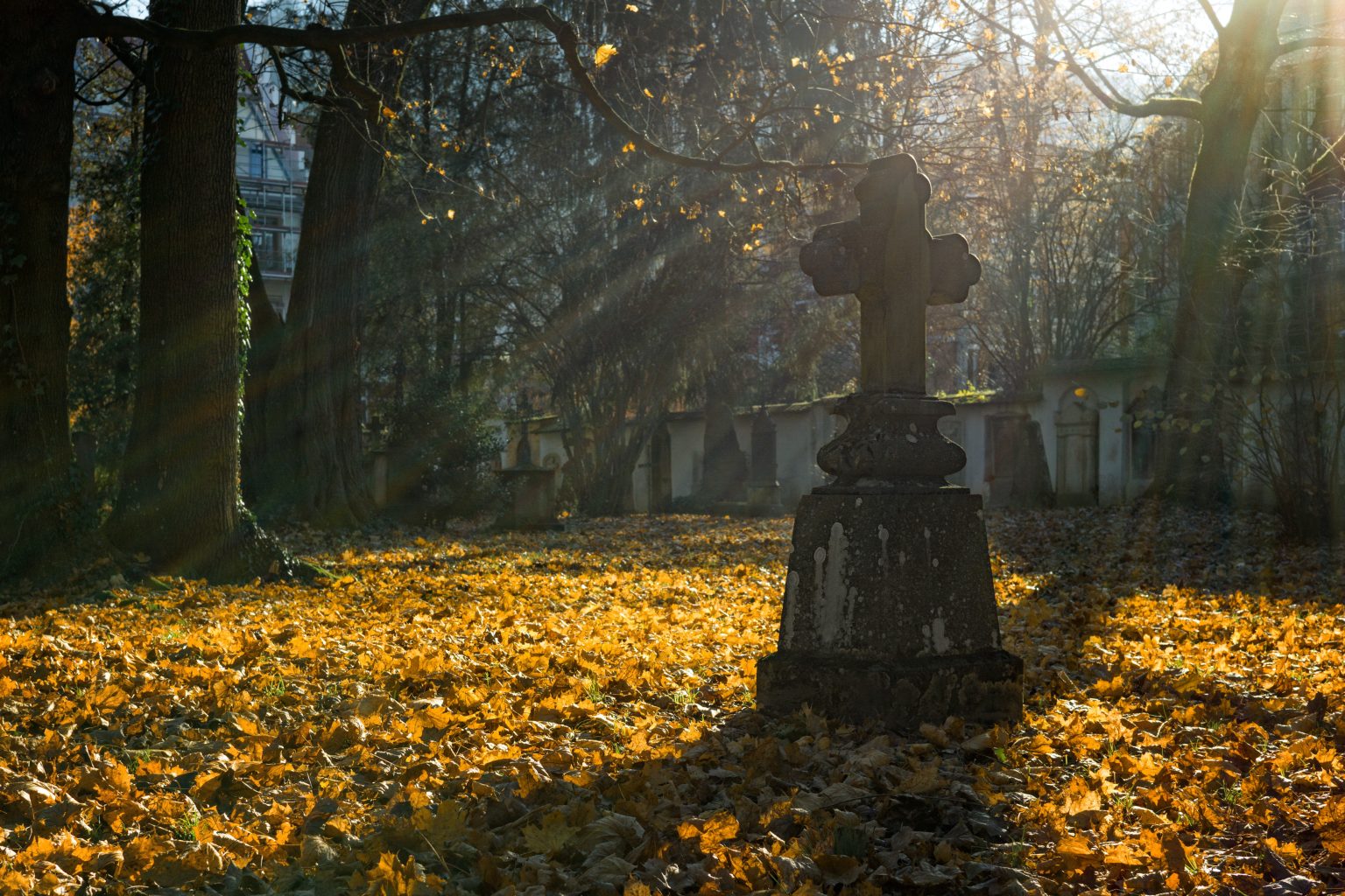 pexels/ S-a furat bustul unui fost primar din Prahova