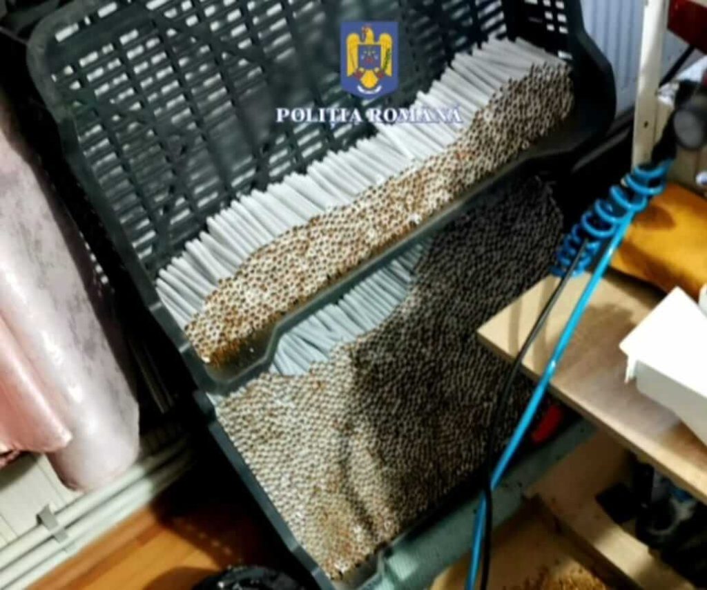 Prelucrau şi comercializau ilegal tutun. I-a prins Poliţia prahoveană