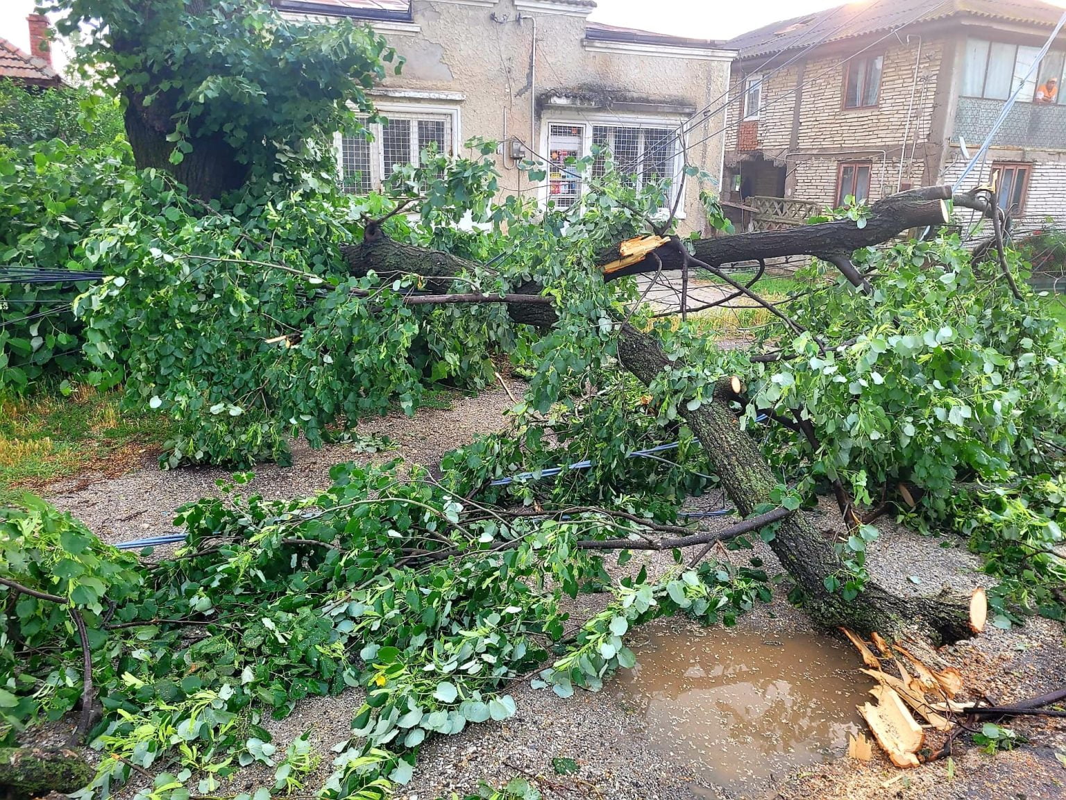 Furtuna a făcut prăpăd şi în judeţul Giurgiu Foto: ISU Giurgiu