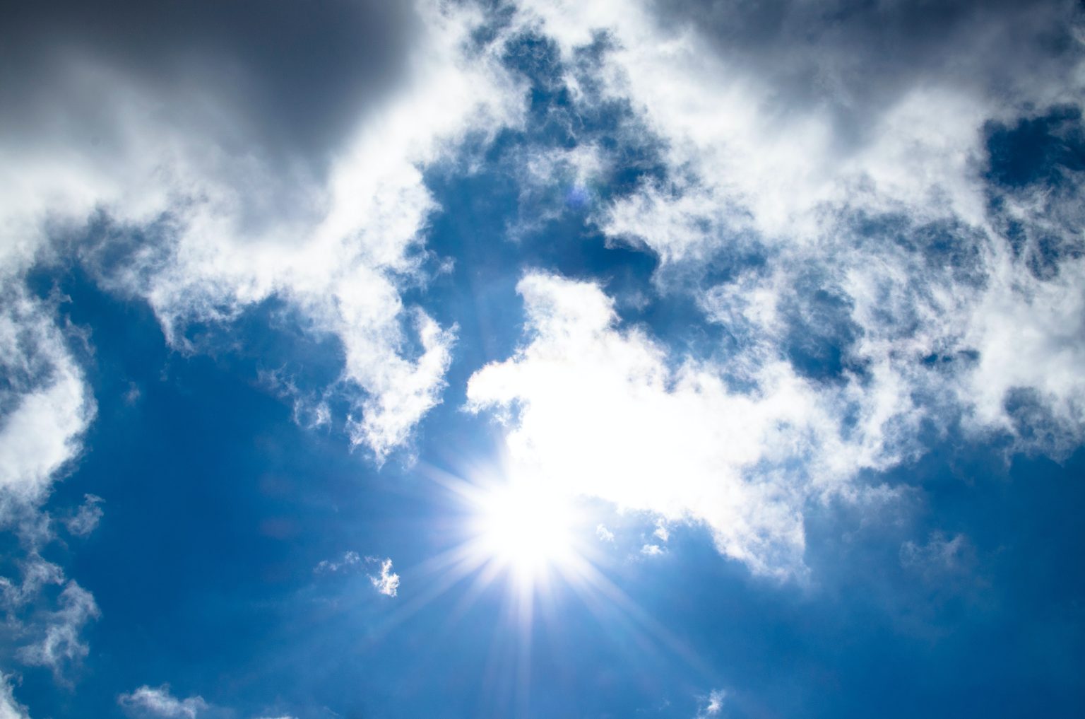 Temperaturi sufocante în următoarele zile pexels/ Temperaturi sufocante in urmatoarele zile