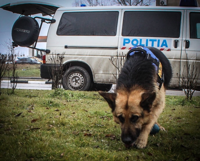 CĂLĂRAŞI: Poliţia caută un băiat care a dispărut. I-au fost găsite hainele şi bicicleta, pe malul Dunării Imagine cu scop ilustrativ Sursă: Libertatea