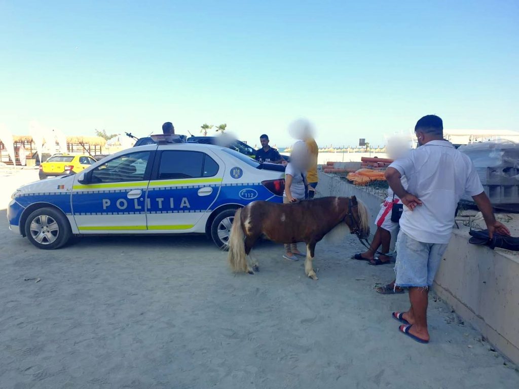 Amendaţi pentru că foloseau ponei pentru fotografii pe plajă Foto: Poliţia Română