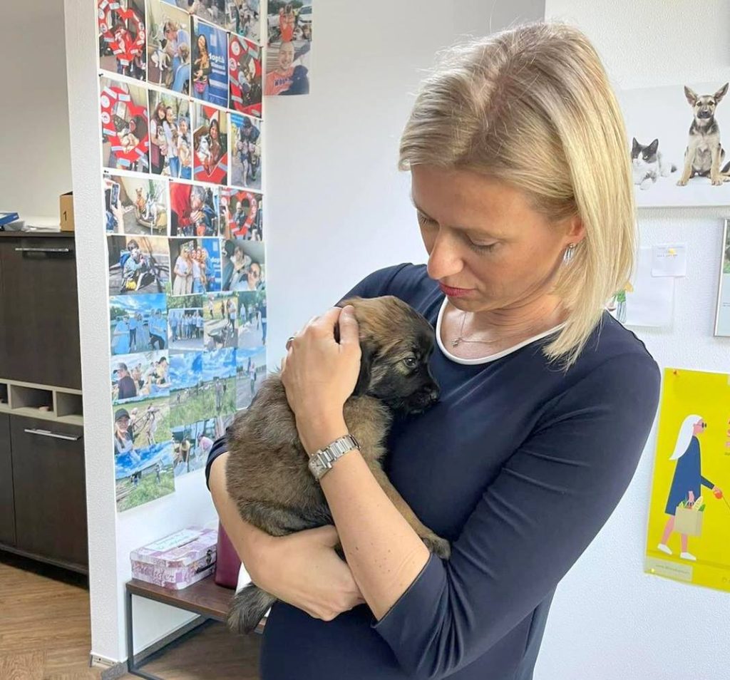 Nou proiect al Protecţiei Animalelor Ilfov, împreună cu Vier Pfoten şi Animal Society Foto: CJ Ilfovcu două