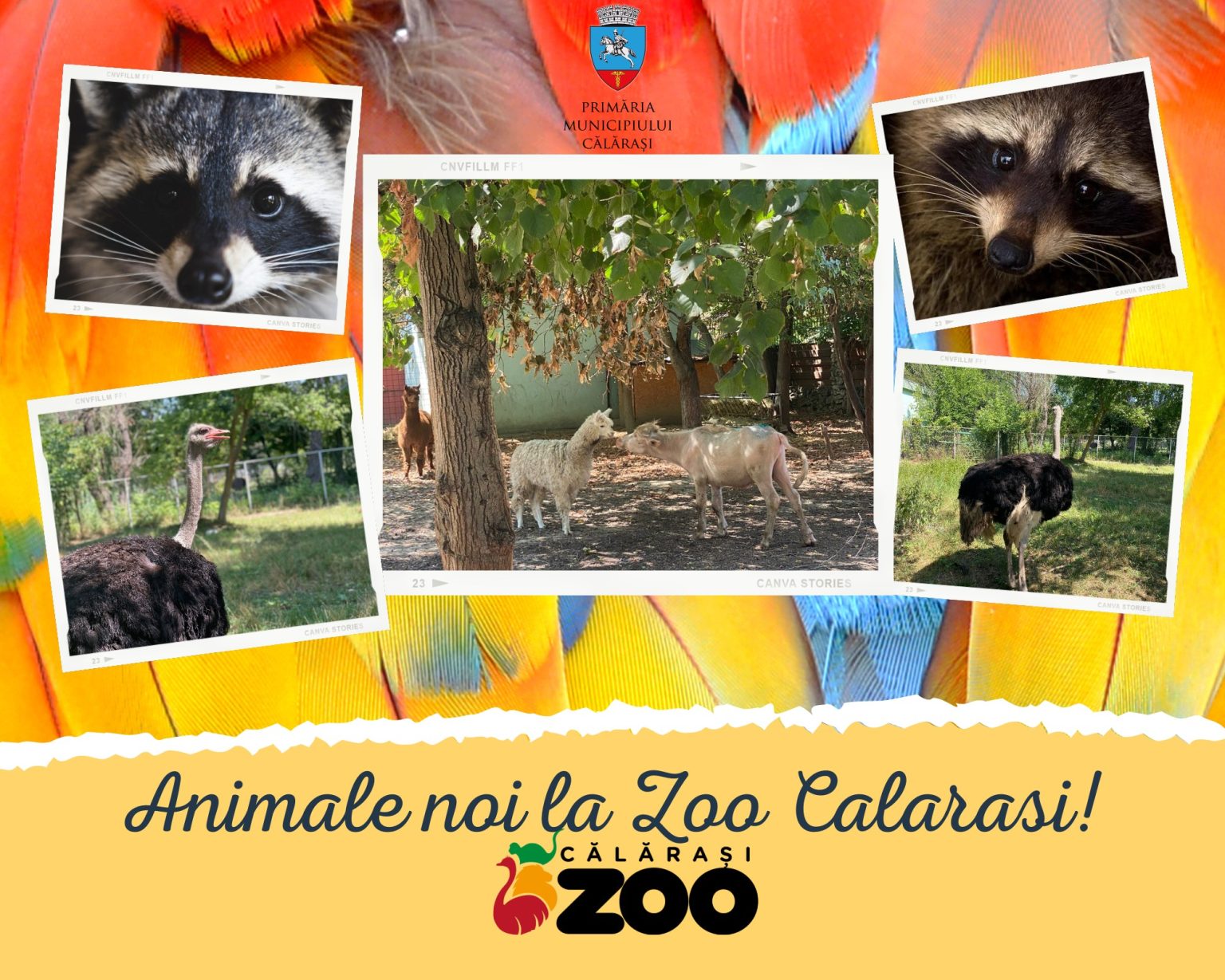 Noi animale, la Zoo Călăraşi
