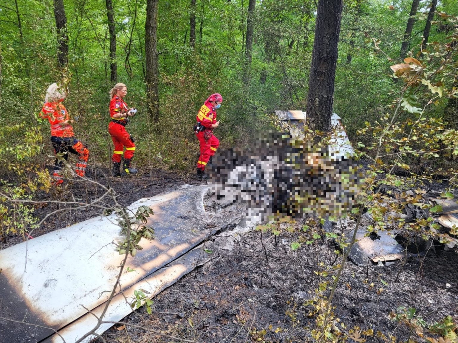Aeronavă de mici dimensiuni, prăbuşită la Letca Nouă Foto: ISU Giurgiu