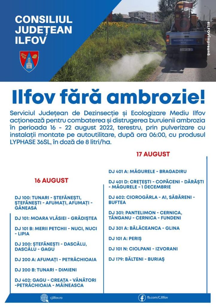 Continuă tratamentele pentru combaterea şi distrugerea buruienii ambrozia, pe drumurile judeţene din Ilfov