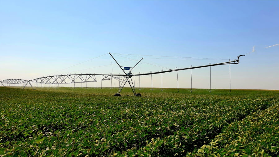 Ministerul Agriculturii: 1,5 miliarde de lei pentru infrastructura generală de irigaţii, desecare şi drenaj Guvernul a aprobat Programul național de reabilitare a infrastructurii principale de irigații din România