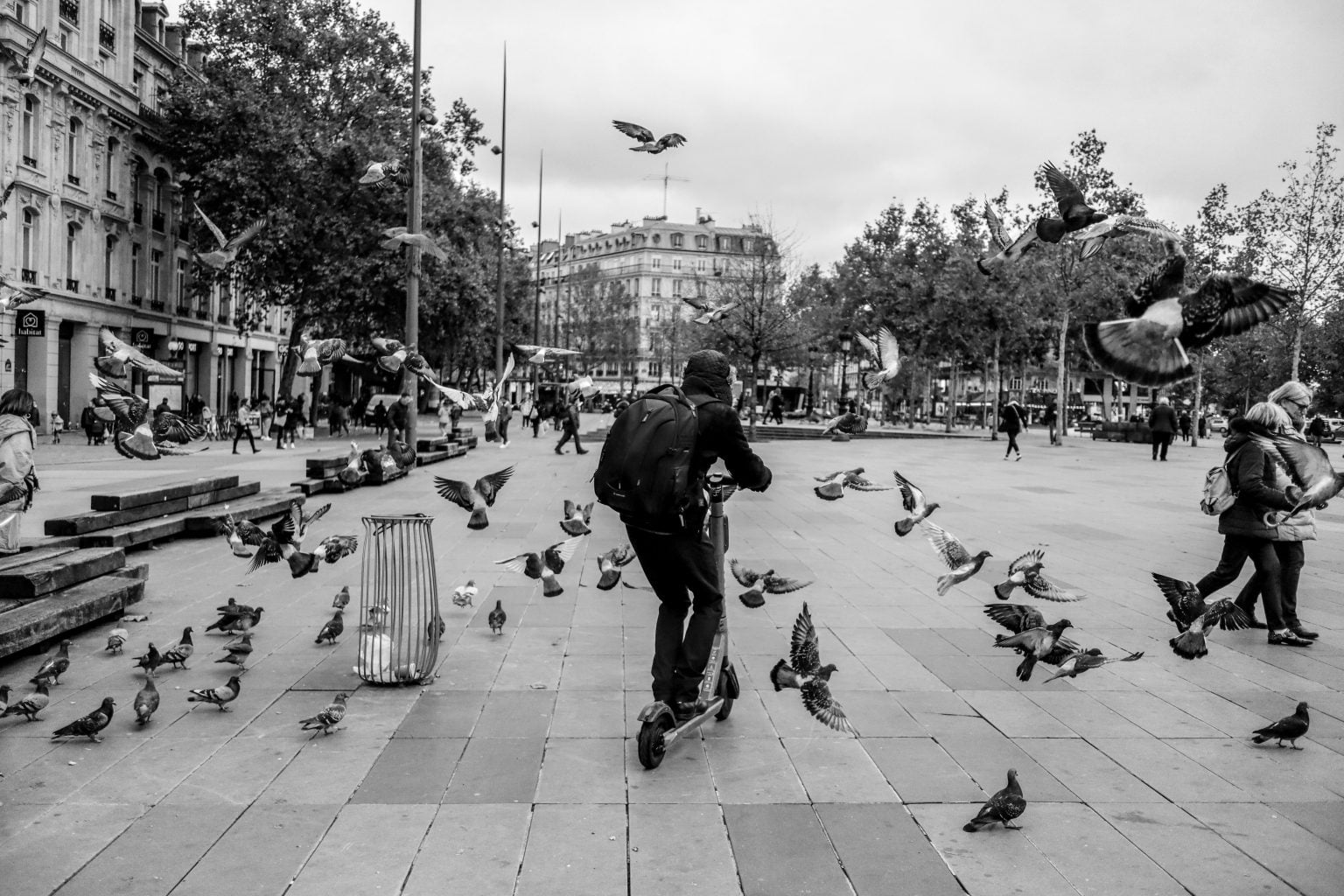 pexels/ Un tânăr din București se plimba pe trotinetă și înțepa femeile pe strada