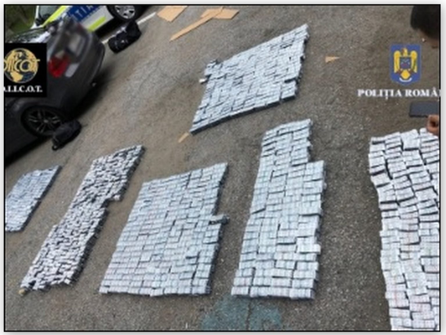 Captură impresionantă de droguri de risc, în GORJ. Trei bărbaţi au fost arestaţi preventiv