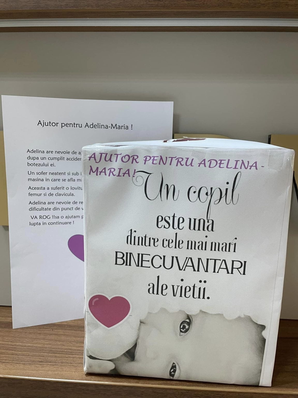 Campanie umanitară, în Snagov, pentru Adelina Maria Foto: Primăria Snagov