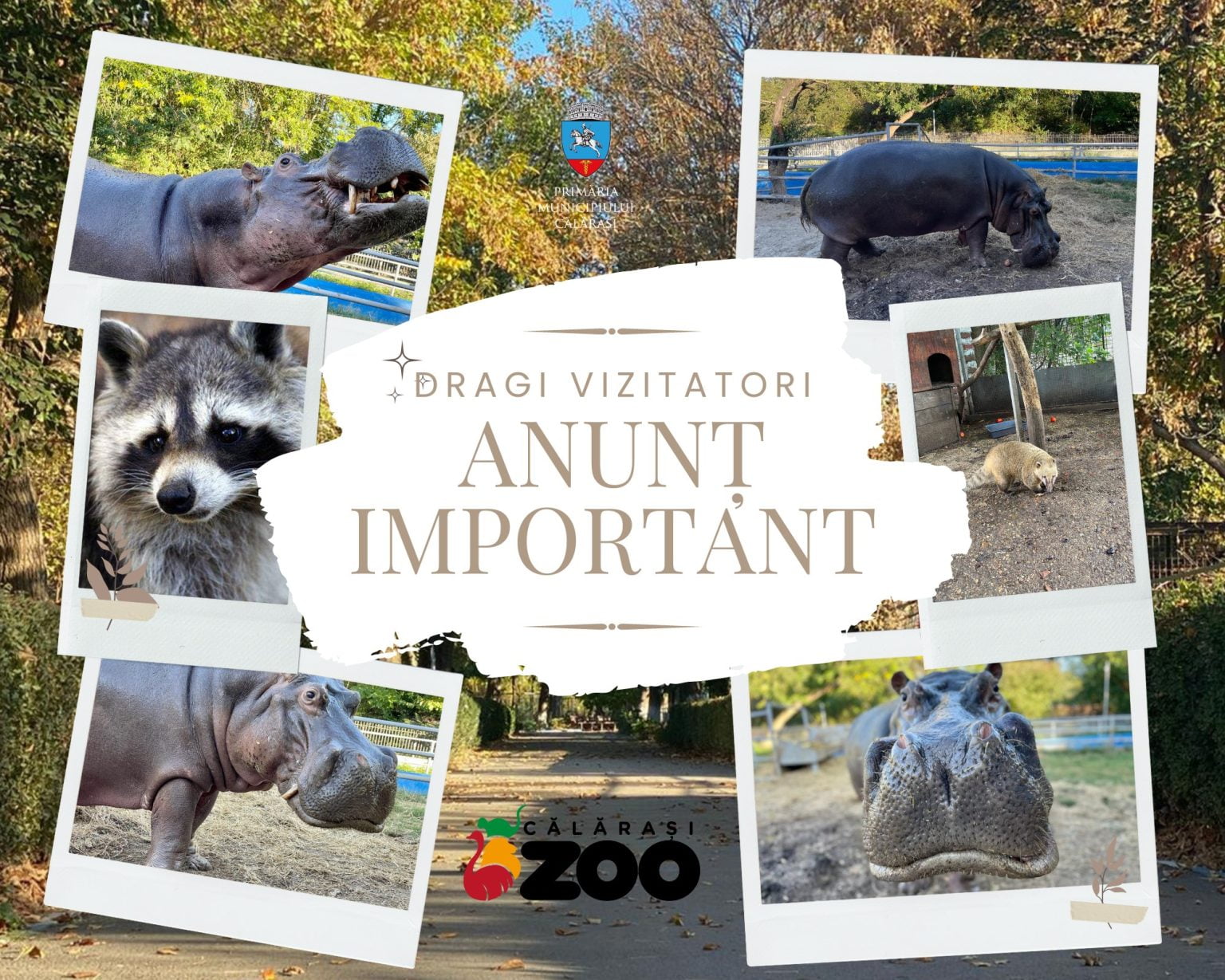 ZOO Călăraşi a trecut la programul de iarnă. Unele animale nu mai pot fi vizitate