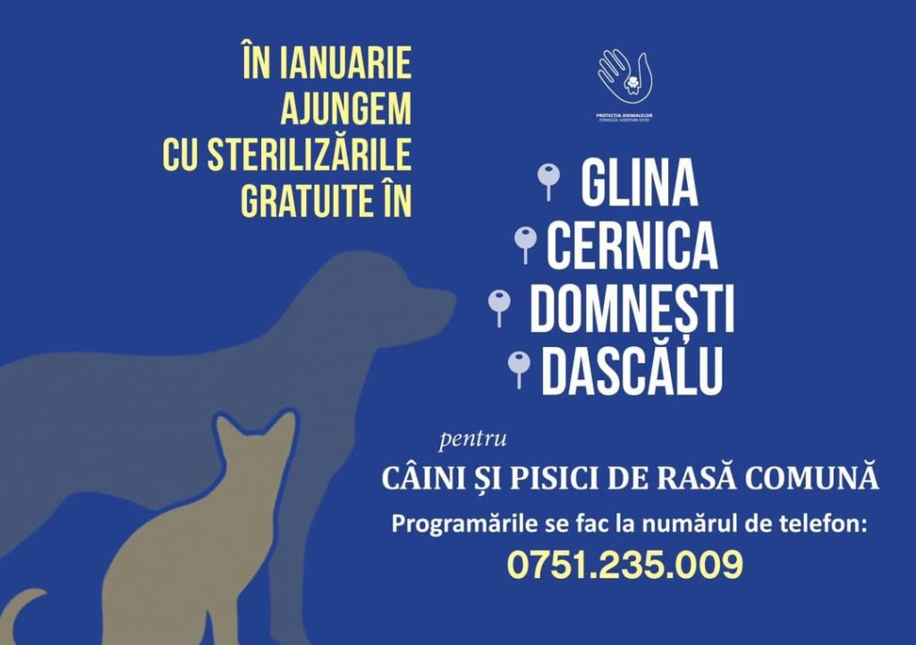 O nouă campanie de sterilizare a câinilor şi pisicilor de rasă comună, în Ilfov
