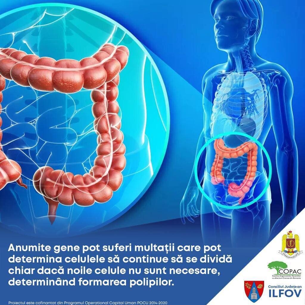 CJ Ilfov: Continuă programul de prevenţie, depistare precoce, diagnostic şi tratament precocee al leziunilor precanceroase colorectale