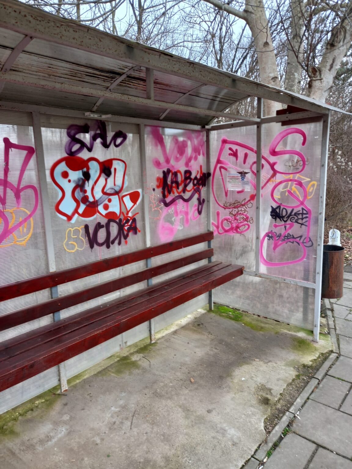 Snagov: Staţiile pentru cei care folosesc transportul în comun, vandalizate