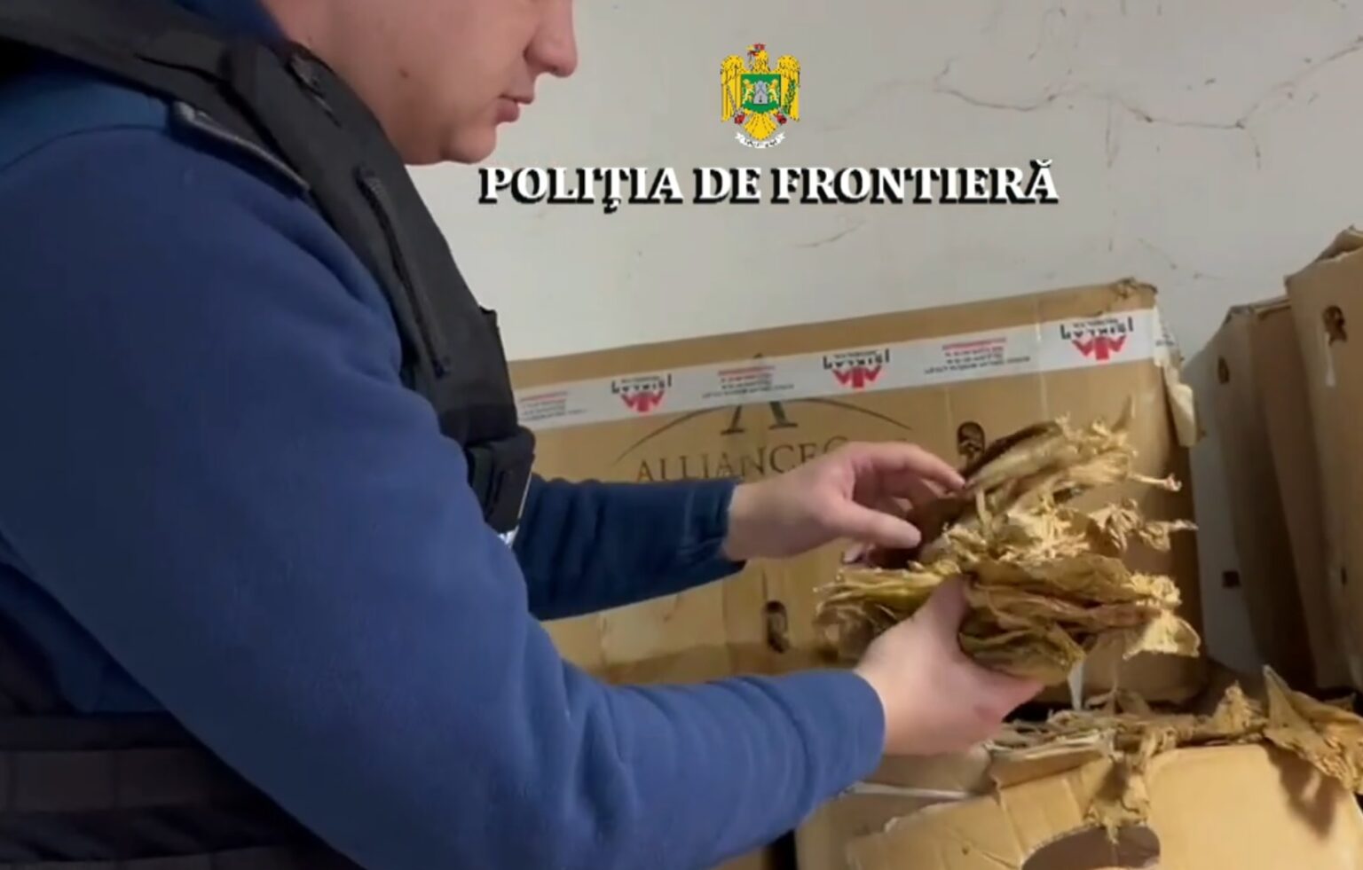 Aproximativ o tonă de tutun neprelucrat, descoperită de polițiștii de frontieră giurgiuveni