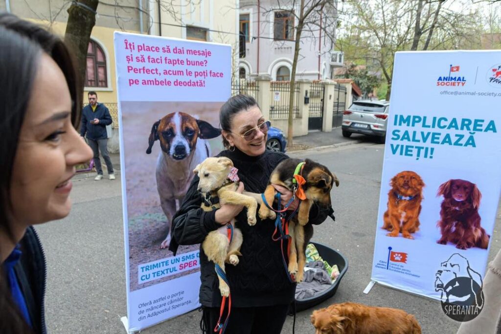 „Te aştept la un Puppyccino”, un eveniment de succes, dedicat adopţiei animalelor