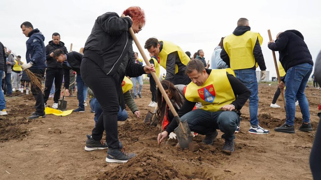 20.000 de puieţi de salcâm şi frasin, plantaţi la Cernica