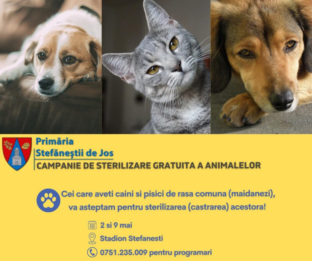 Campanie de sterilizare a câinilor şi pisicilor de rasă comună, la Ştefăneştii de Jos