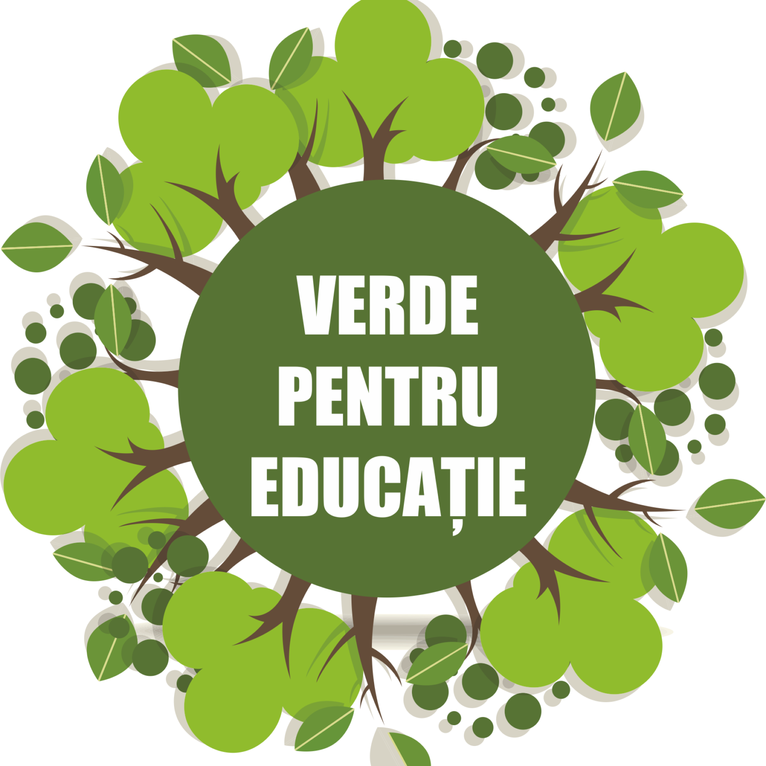 Proiect pentru încă o şcoală, în Berceni