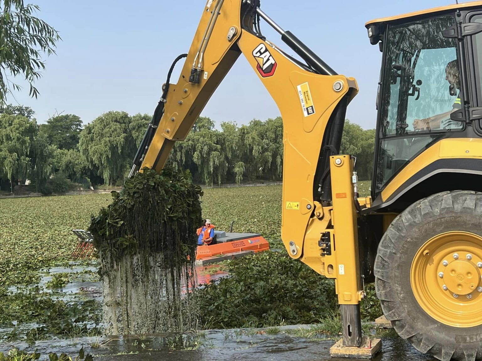 Acţiunea de curăţare a Lacului Mogoşoaia continuă
