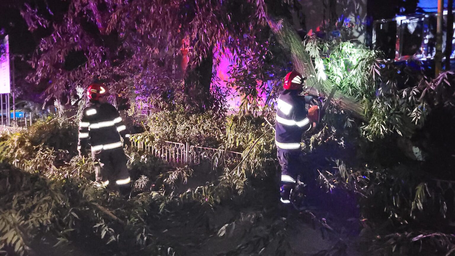 Furtuna a doborât copaci, stâlpi de electricitate şi panouri publicitare, în GIURGIU